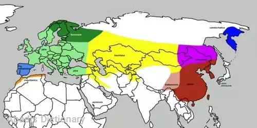 زاغی اوراسیایی